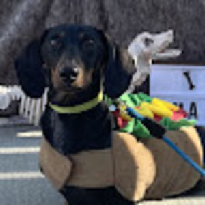 Meet your Posher, Jocelyn